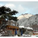 성주1리 마을회관 앞 이미지