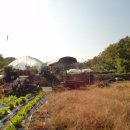 채수농장 이미지