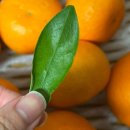 21세기 약국 이미지