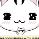 성사체육공원