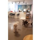 개스트 하우스 이미지