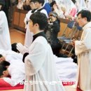 착한교구
