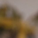 바른미이비인후과의원 이미지