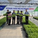 대산육묘장 이미지