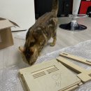 게임기뱅크 이미지