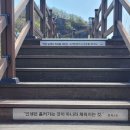 [경남/거제] 계룡산 - 고자산치 - 선자산 - 독봉산 원점회귀 하루코스 후기