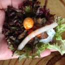 승호네식당 네이버블로그