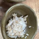 국수나무문경 | [경북 문경] 문경 로컬 맛집, 채가네 들깨국수 내돈내산 솔직후기, 강력추천, 문경시장 맛집