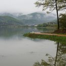 국화천 이미지