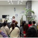 야옹아 놀자 이미지