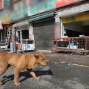 모란종합시장 이미지