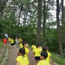 모라산림공원 이미지