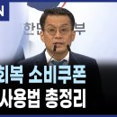 민생회복 소비쿠폰 신청 사용법 총정리 이미지