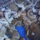 태안수산 이미지