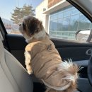 메이플 동물의료센터 이미지