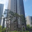 피터팬소아청소년과의원 Daum카페
