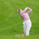 하이로