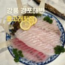 계경목장파도횟집 | 카카오맵 평점 믿고 방문한 경포해변 찐 가성비 맛집. 재방문 의사 200% : 돌고래횟집 (오픈창 오션뷰)