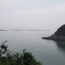 황금손왕만두