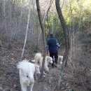 카페 첨산 이미지