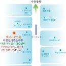 제4회 교사를 위한 에니어그램 & NLP & EFT 자율연수 (서울) 1/12-1/16 이미지