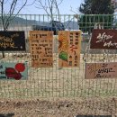 서곡리 가족공원 이미지