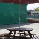 파라솔장어 이미지