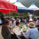 강촌출렁다리 이미지