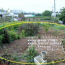 원정농장 이미지