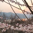 웅이농장 이미지