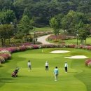 금호강변(세천파크골프장) 이미지