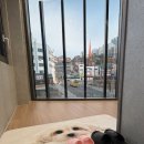 꼬똥켄넬 이미지