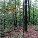 지리1길 14-1 이미지