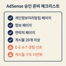 더파란애드 | 블로그 수익화 — 애드센스 두 번 거절당하고 배운 것들