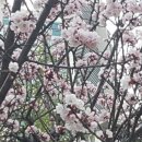 희망교 하단 이미지