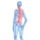 서울제일보조기 이미지