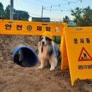 멍스 컨테이너 이미지