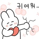 지에스25둔산그랜드점 이미지