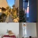 서쪽벳디 이미지