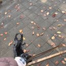 우묵들3공원 이미지