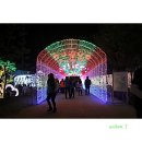 별빛마을 이미지