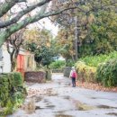 의귀리마을 이미지