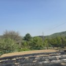 광운대공인중개사사무소 이미지