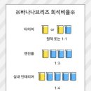 워시나우 오토 이미지