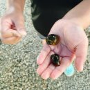 지향가든 이미지