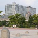 스타팰리스 이미지