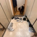 라이프아파트(휴지)경로당 | [공지] 인테리어 회사 욕심 빼고, 고객 니즈만 넣었더니 생긴 변화 , _도곡한라비발디 49py