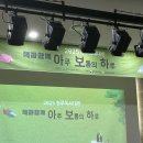 상반기 이야기가 있는 도서관 북토크 | 혼모노의 저자, 성해나 작가 북토크 후기