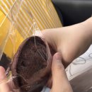 우진세탁소 이미지