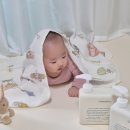 새하얀세탁 | 건강한 아기세탁세제 바바디토 깨끗한 세탁세제 코튼블랑